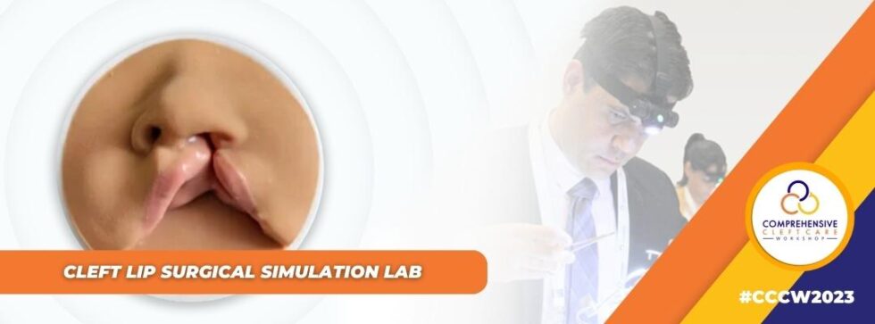 CLEFT SURGICAL SIMULATION intelligence overview